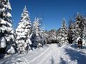 2010-01-31, Altenberg (4)